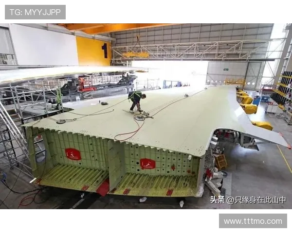 民用飞机燃油箱的防爆填充材料